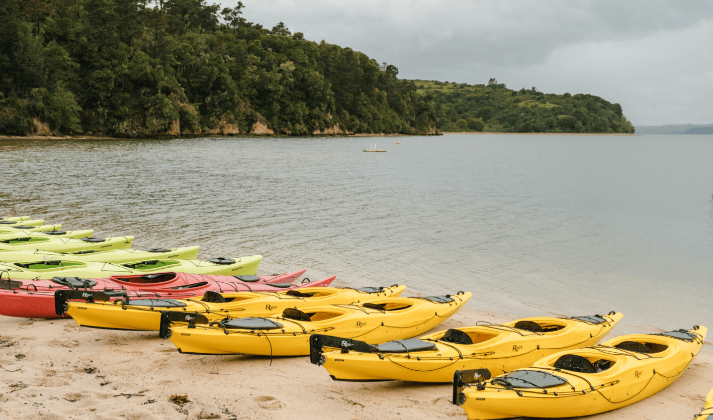 Paddle Heart's Desire Beach: Kayak Tomales Bay Wildlife & Moonlight Tours photo 3