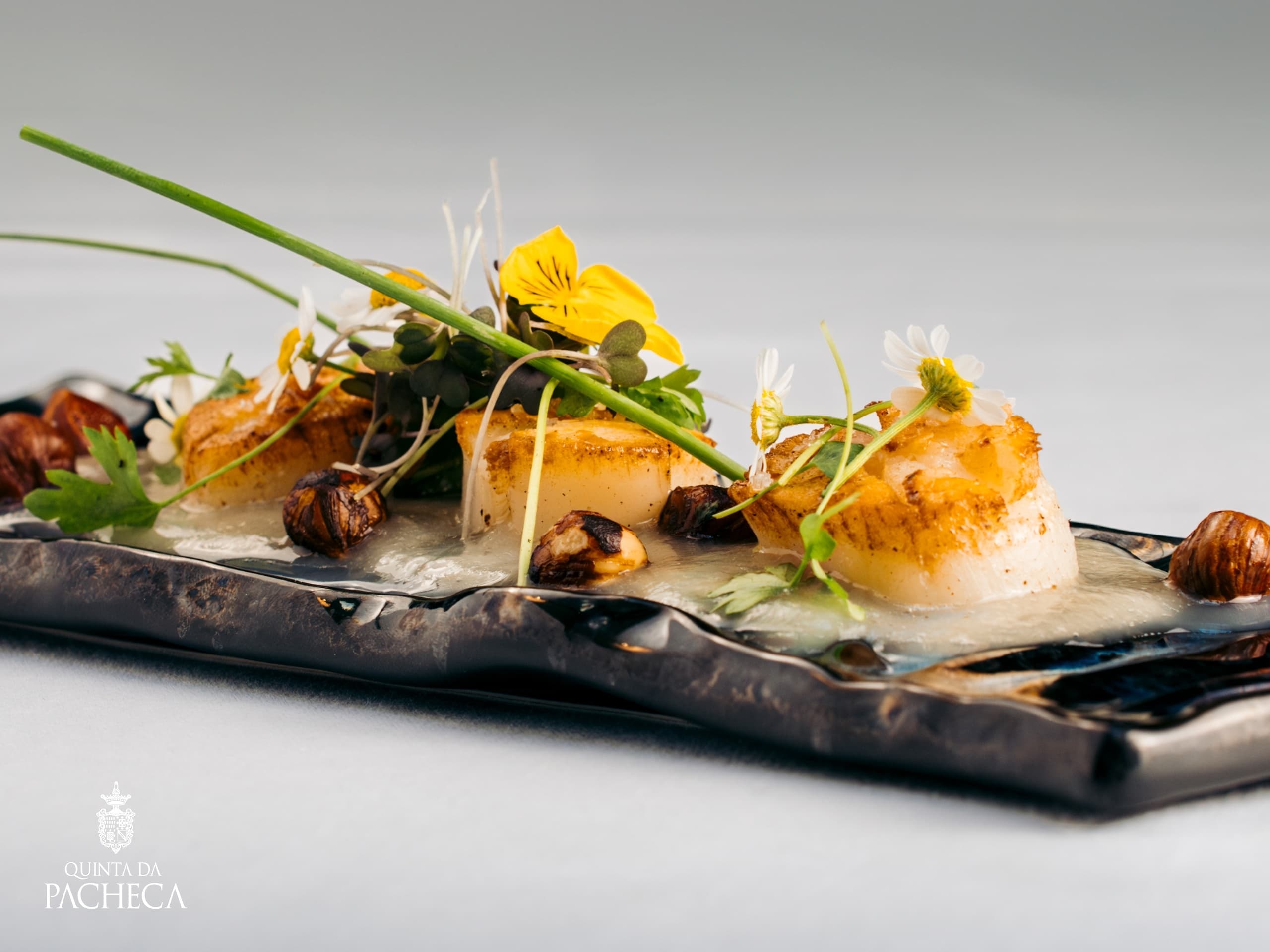 Three-Course Lunch at Quinta da Pacheca — Wine-Paired Douro Experience