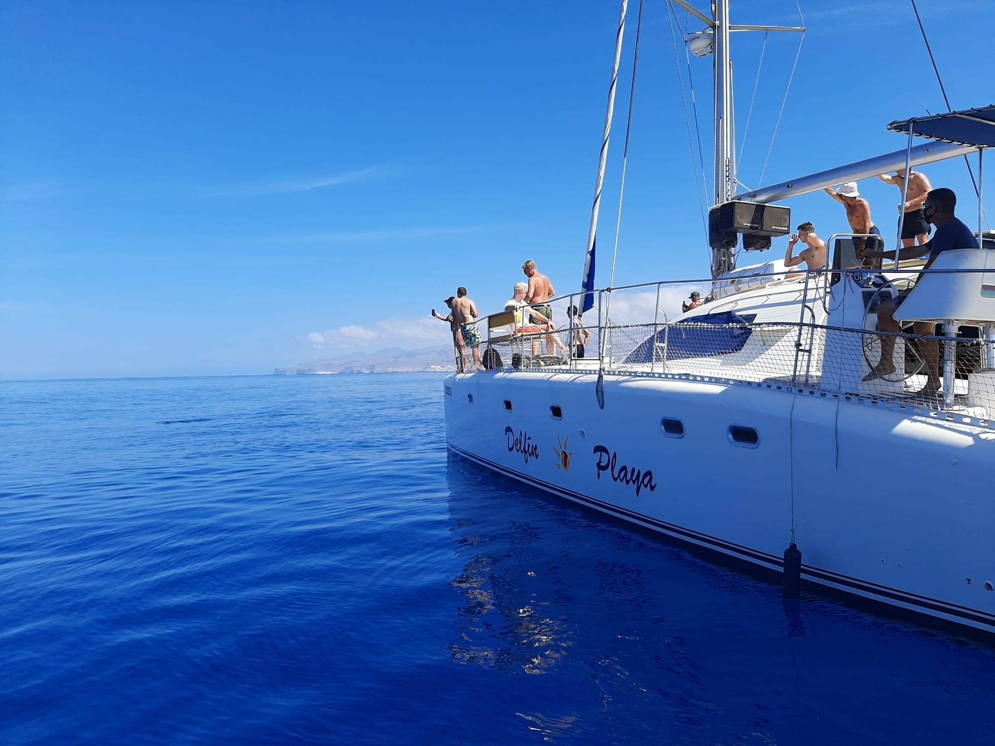 Bahia Cat S.L.'s Delfin Playa Boat Ride in Las Palmas