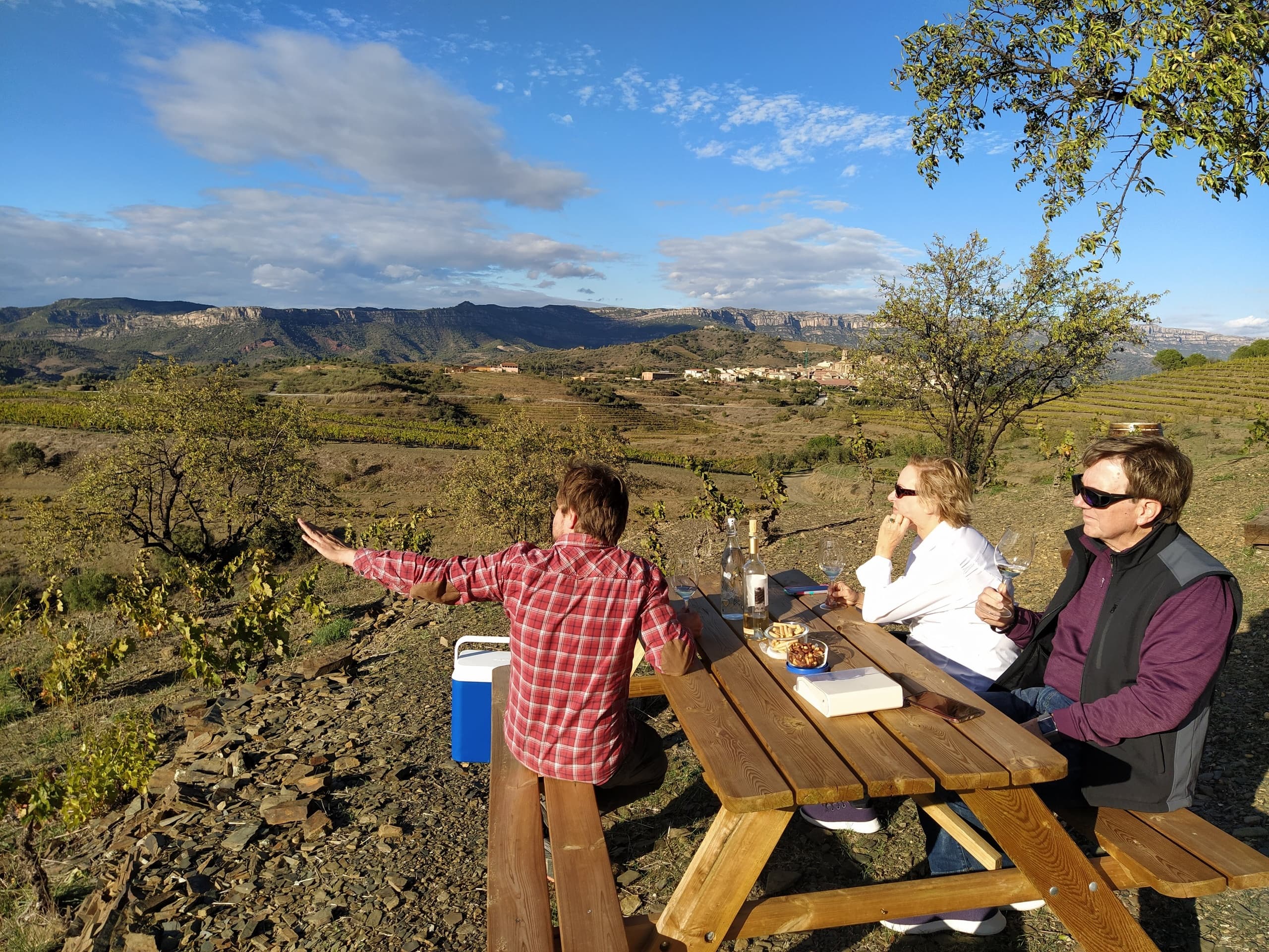 Experience Shepherd Life and Artisanal Cheese Tasting in the Prades Mountains
