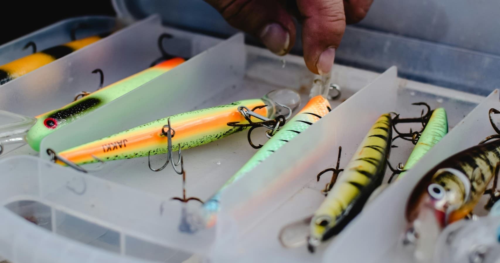 Four-Hour Sports Fishing Trip from Saundersfoot Harbour — Pembrokeshire Offshore Angling