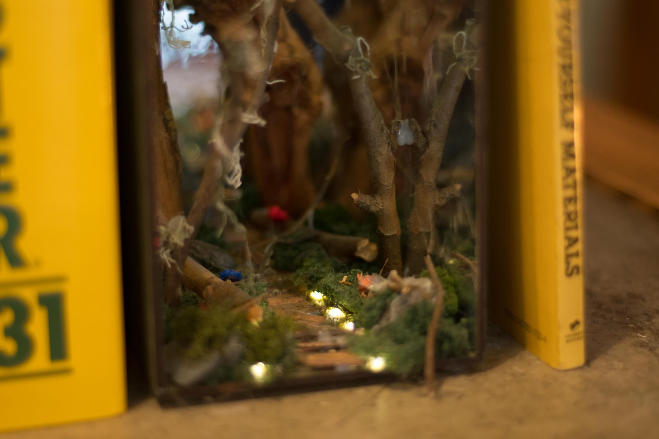 Make a Miniature Enchanted Forest in Brooklyn: Hands-On Book Nook Workshop photo 3