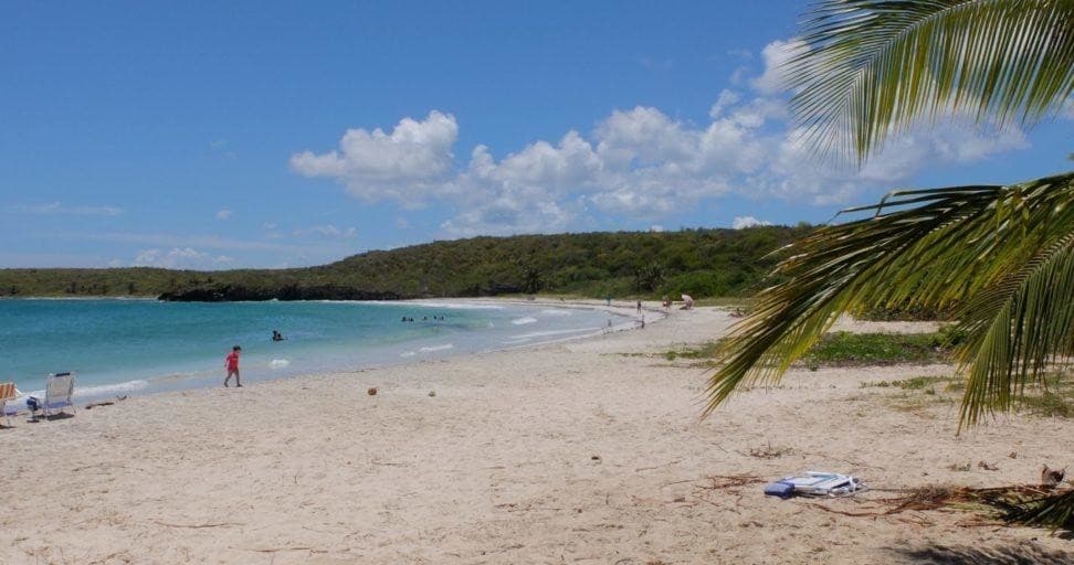 Alegría Day Cruises: Explore Vieques’ Stunning Waters