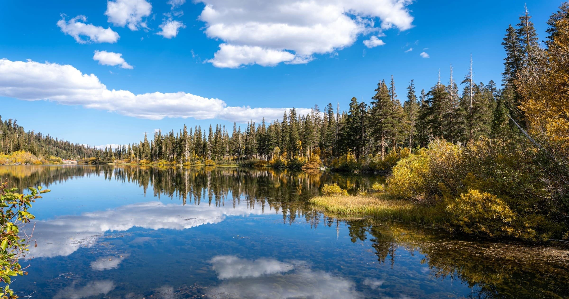 Scenic mountain lake reflection with pine forest and clear blue sky