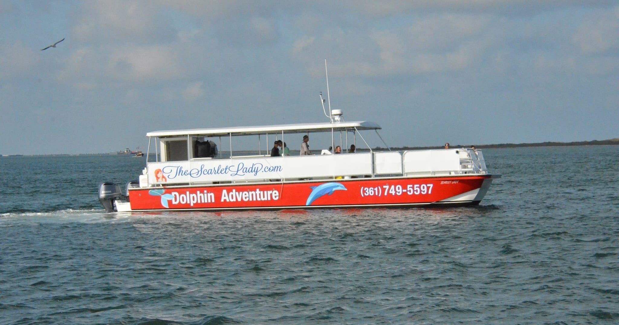 Tour boat cruising on open water, coastal dolphin-watching excursion