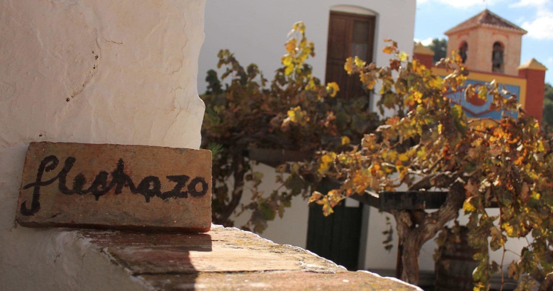 Cultural Land Adventure: Oletrips' White Village Journey in Andalusia