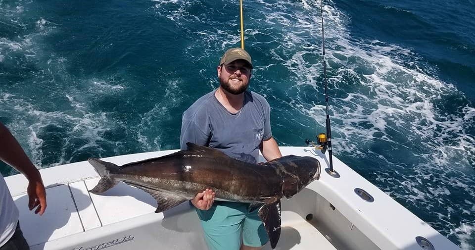Full Day Cobia Charter in Manteo, North Carolina