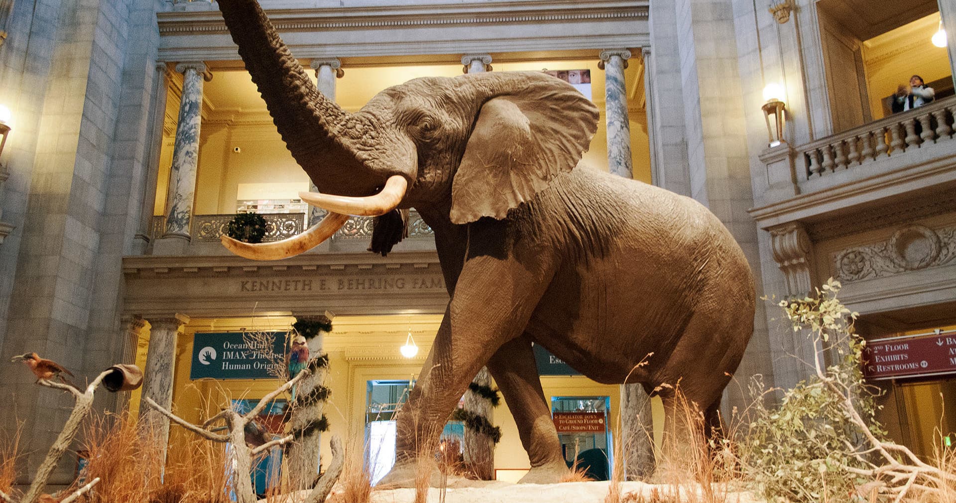 Private Smithsonian Museum Tour by Babylon Tours DC