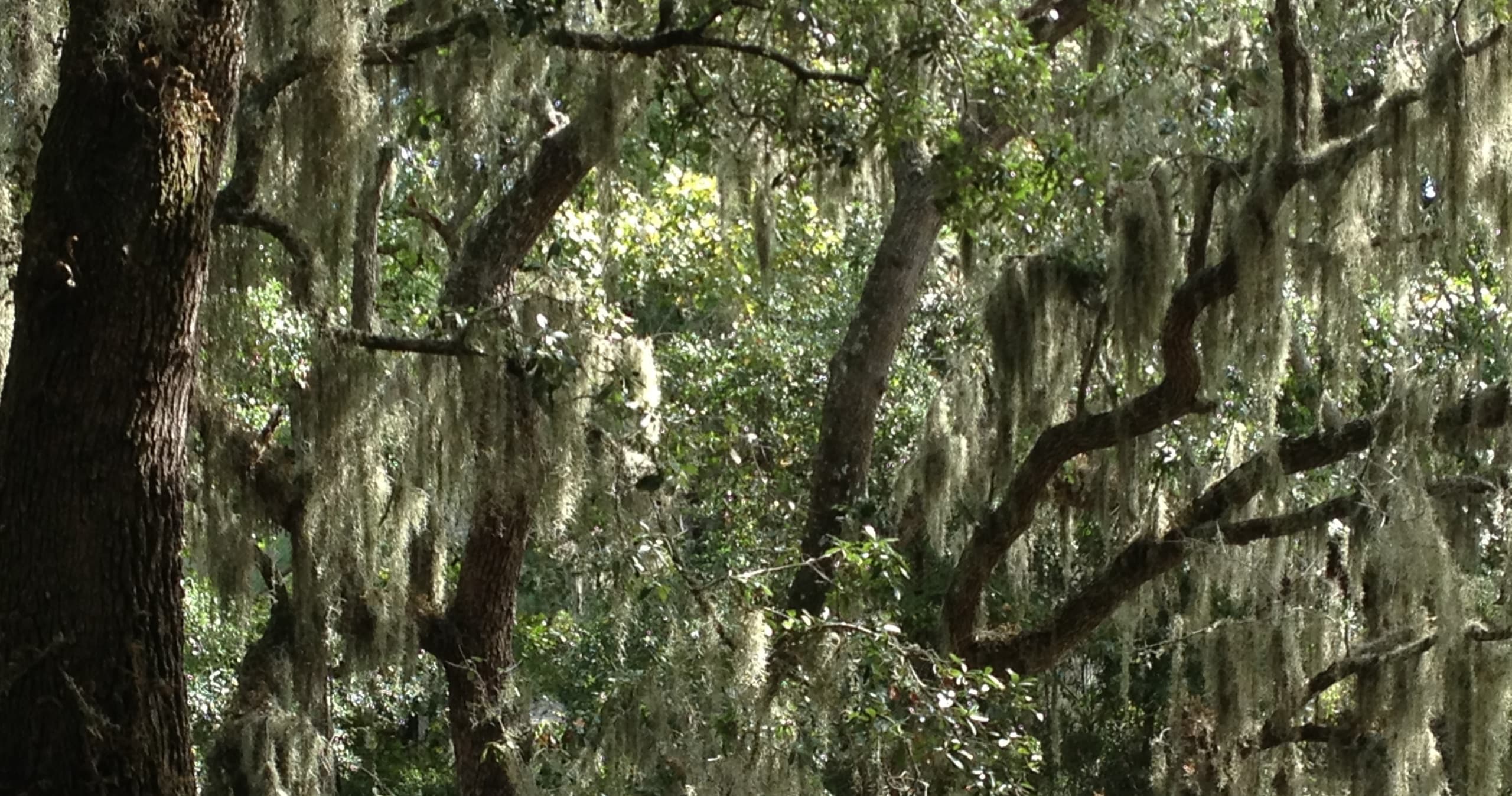 Stress-Free Family Travel with Baby Gear Rental on Hilton Head Island