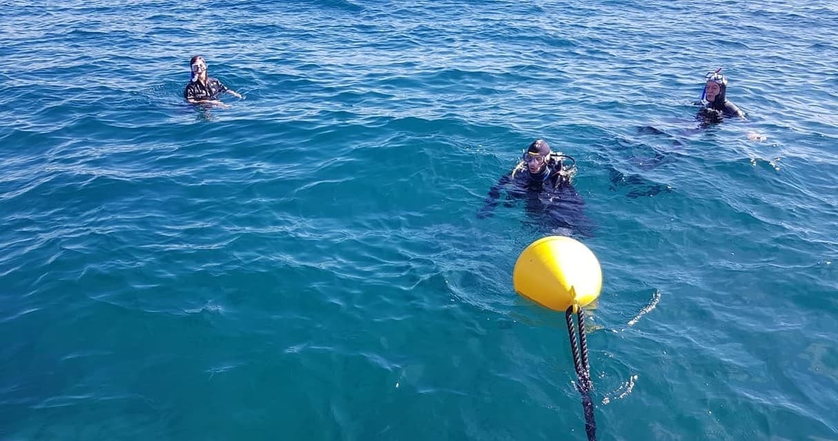 Dive the Submerged Archaeological Park of Baia — Certified Scuba at 14m from Pozzuoli