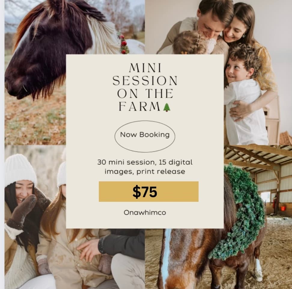 Festive Photoshoots at Stepping Stone Ranch in Richmond