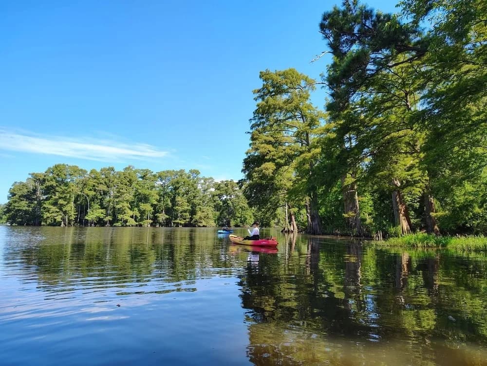 Paddle the Quiet Bayous — Half-Day Kayak Rentals at Bayou Glamping Co., Westlake LA photo 1