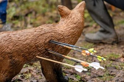 3-D Archery Shoots in Lecanto, Florida: Outdoor Fun Awaits