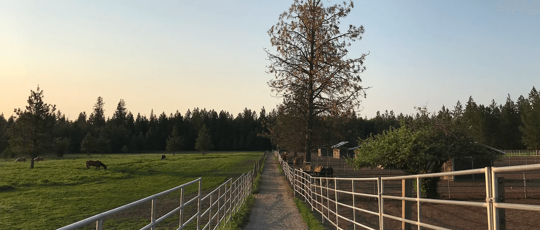 Scenic Trail Rides in Hayden, Idaho