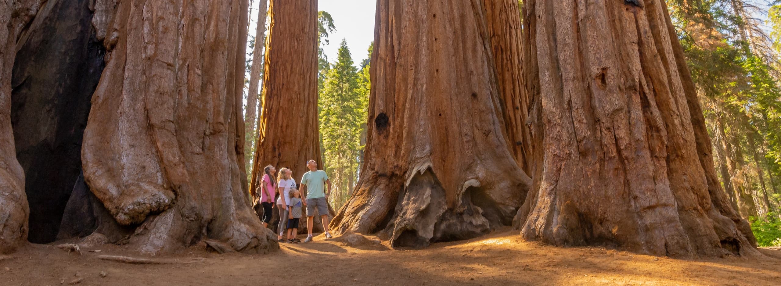 Private Sequoia Adventure in Three Rivers, California