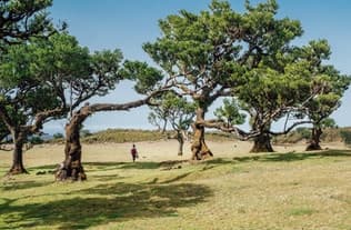 Madeira’s West Coast Adventure with Bravelanders
