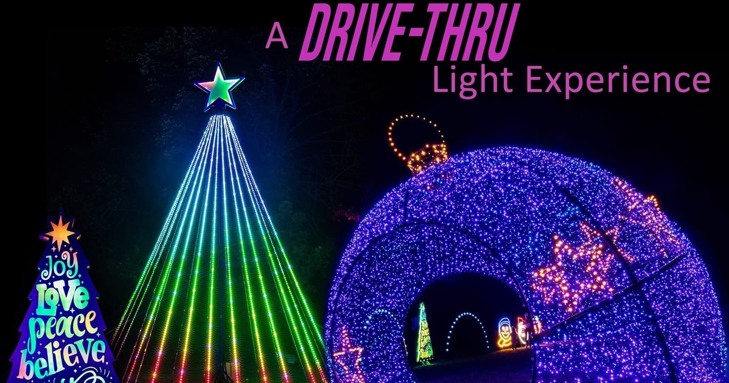 Drive-thru outdoor holiday light display with illuminated arches and trees