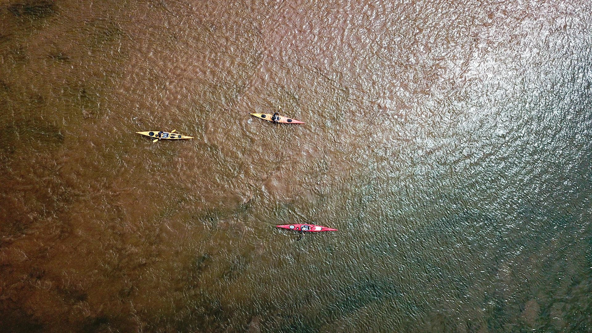 Aerial view of kayakers paddling over clear shallow coastal waters