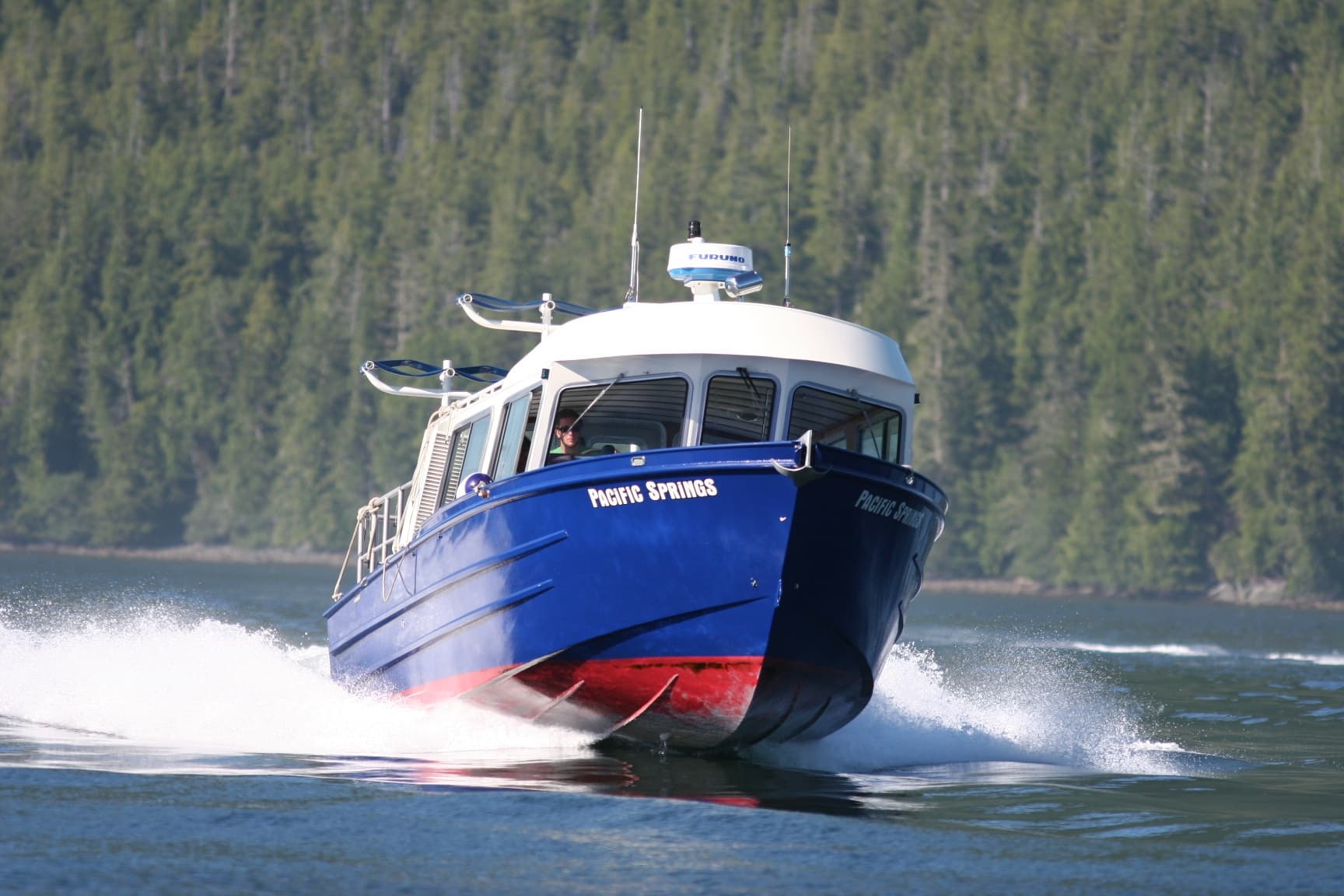 Blue tour boat powering through coastal waters near forested shore