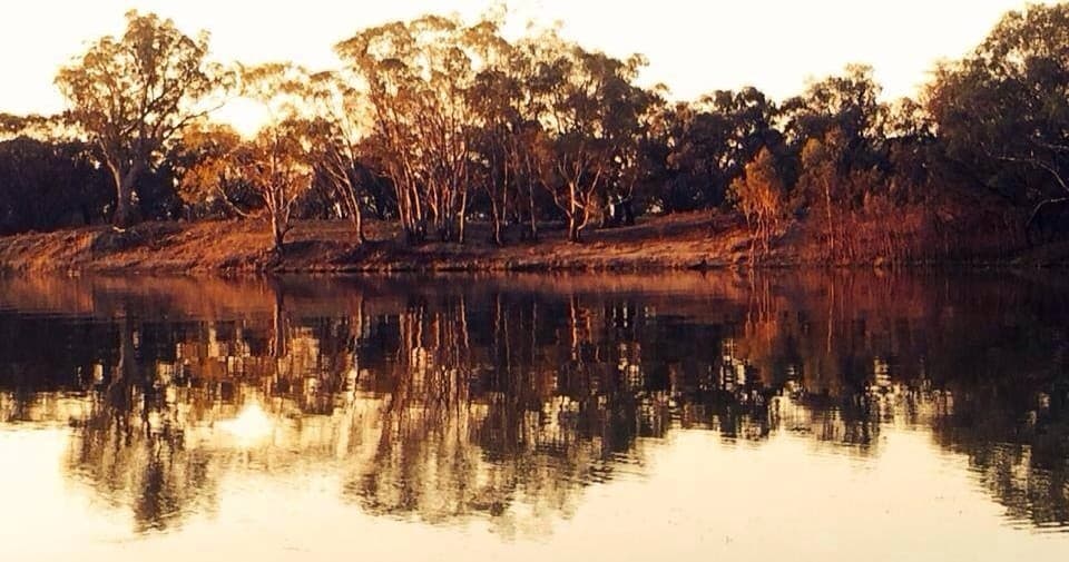 Sunset river reflection with eucalyptus trees on calm water