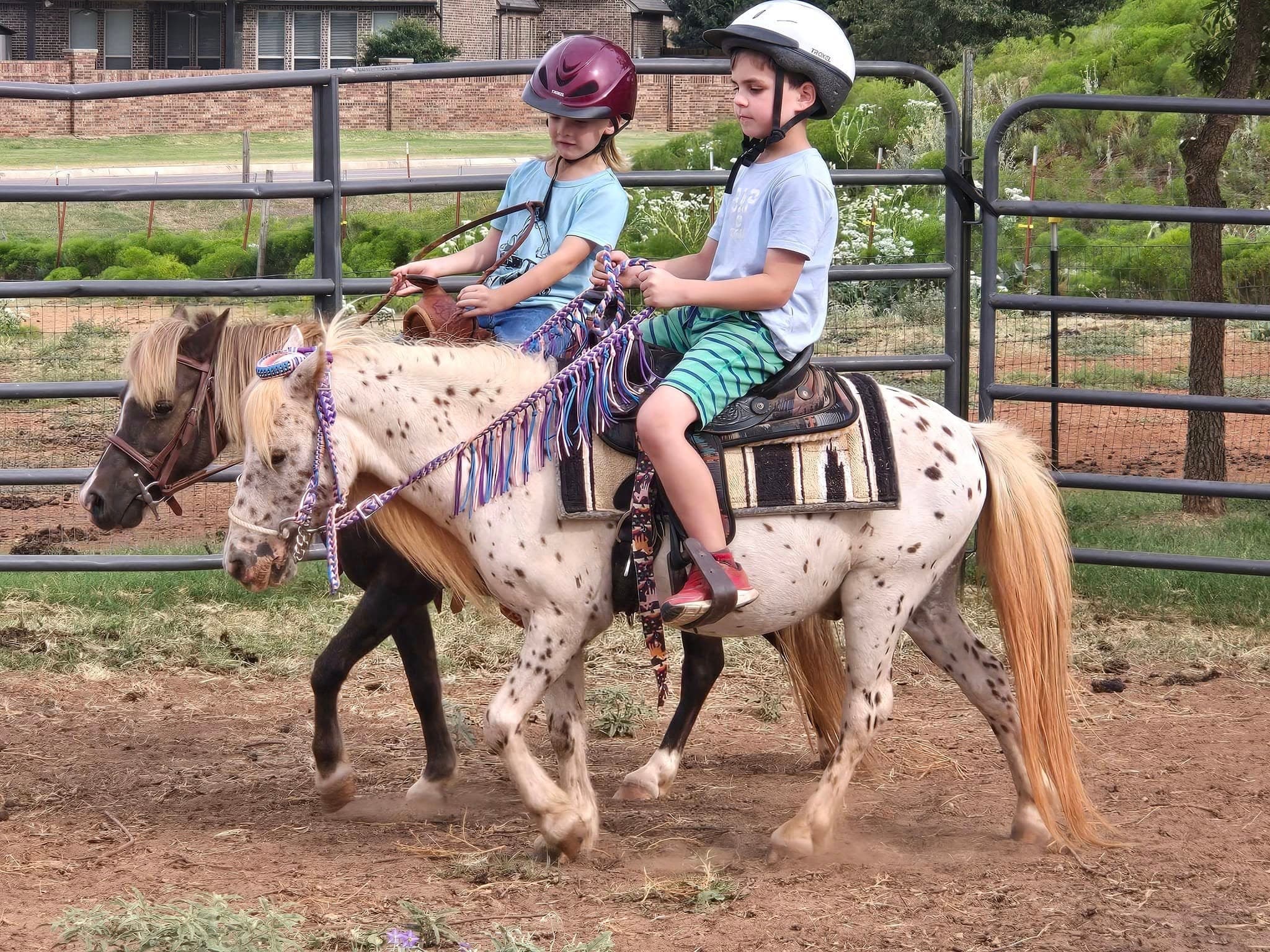 Mini Pony Mondays at the Patch: A Perfect Beginner Pony Ride Experience in Edmond, Oklahoma