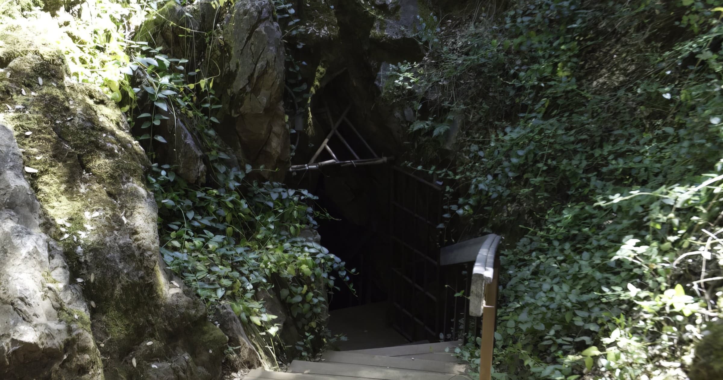 Gated forest entrance to Black Chasm Cavern cave tour path