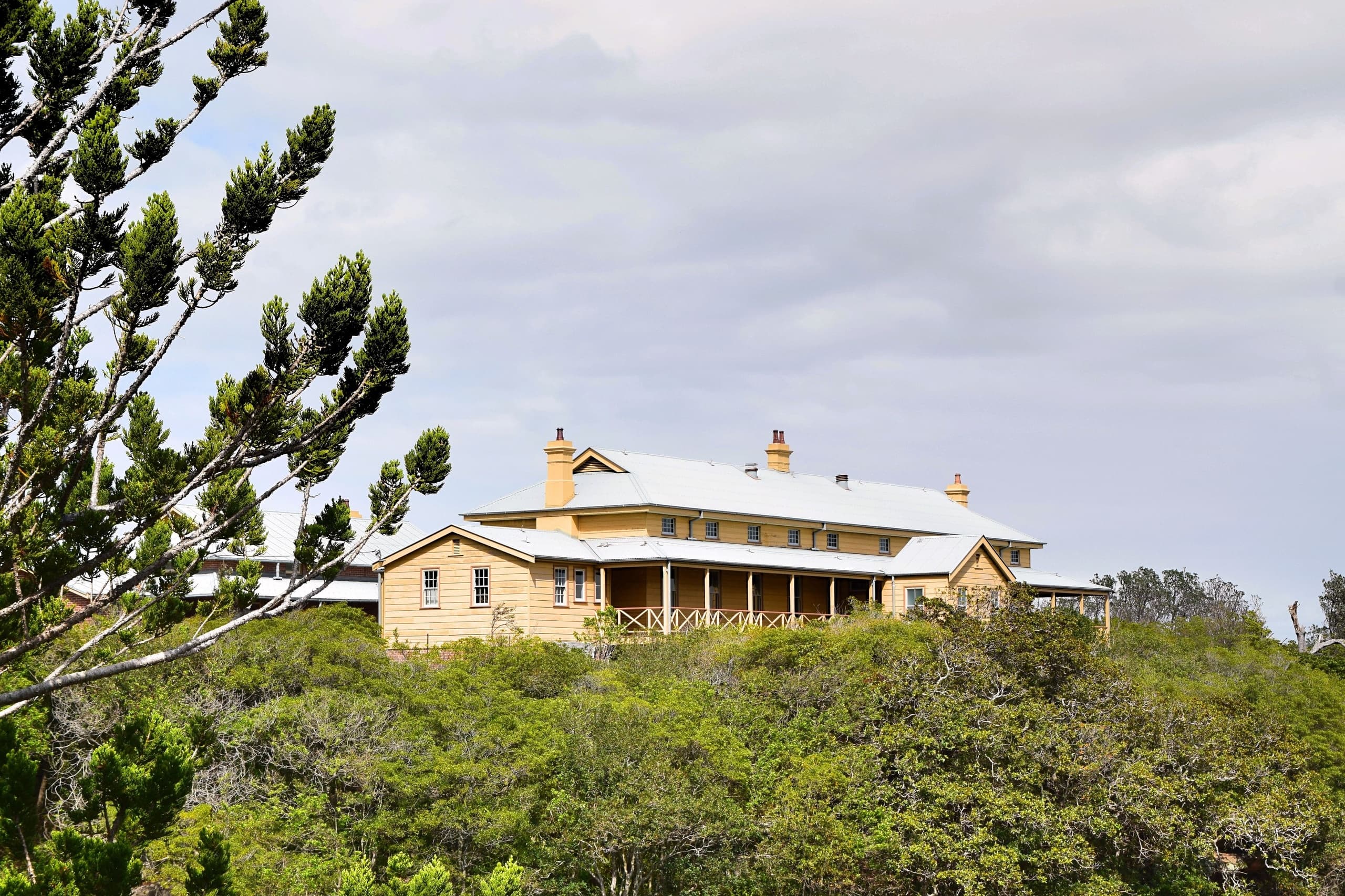 Wildlife & Conservation at Bush Care – North Head