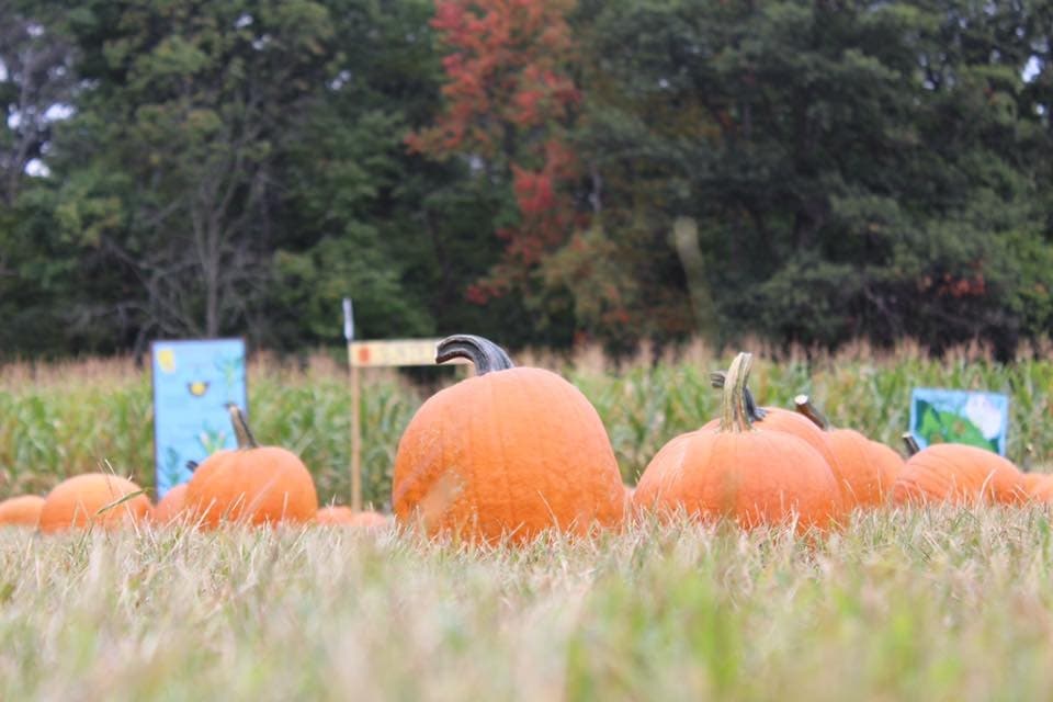 Secor Farms team