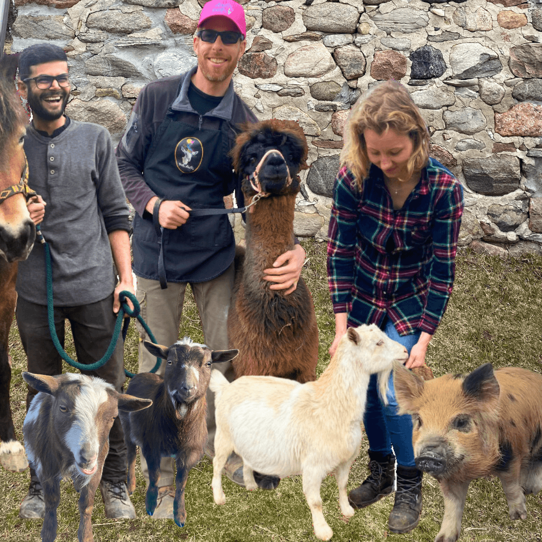 Visitors posing with goats, pig and llama on farm tour