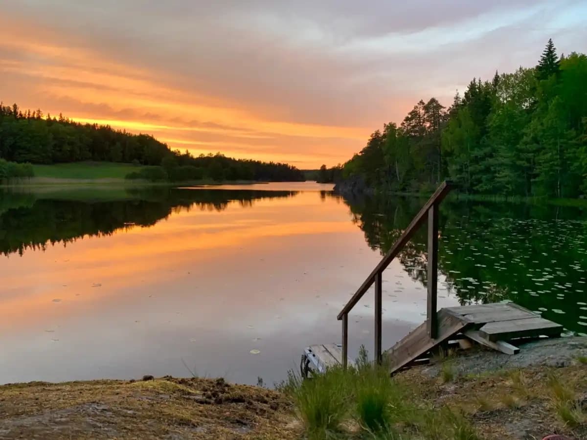 Sunset Hiking Experience with Stockholm Nature AB in Tyresta National Park