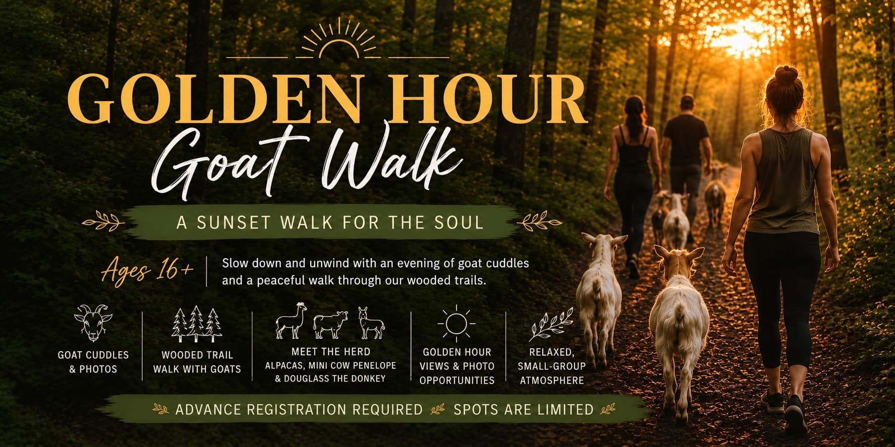 Golden Hour Goat Walk & Cuddle at Bracken Hill Farm - Sunset Goat Hike Near Northborough, MA