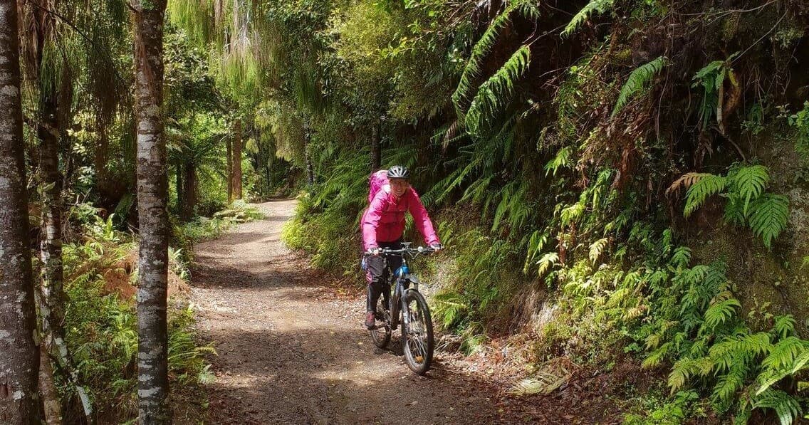 Mountain Bike Hire at Riverside Adventures Waikato