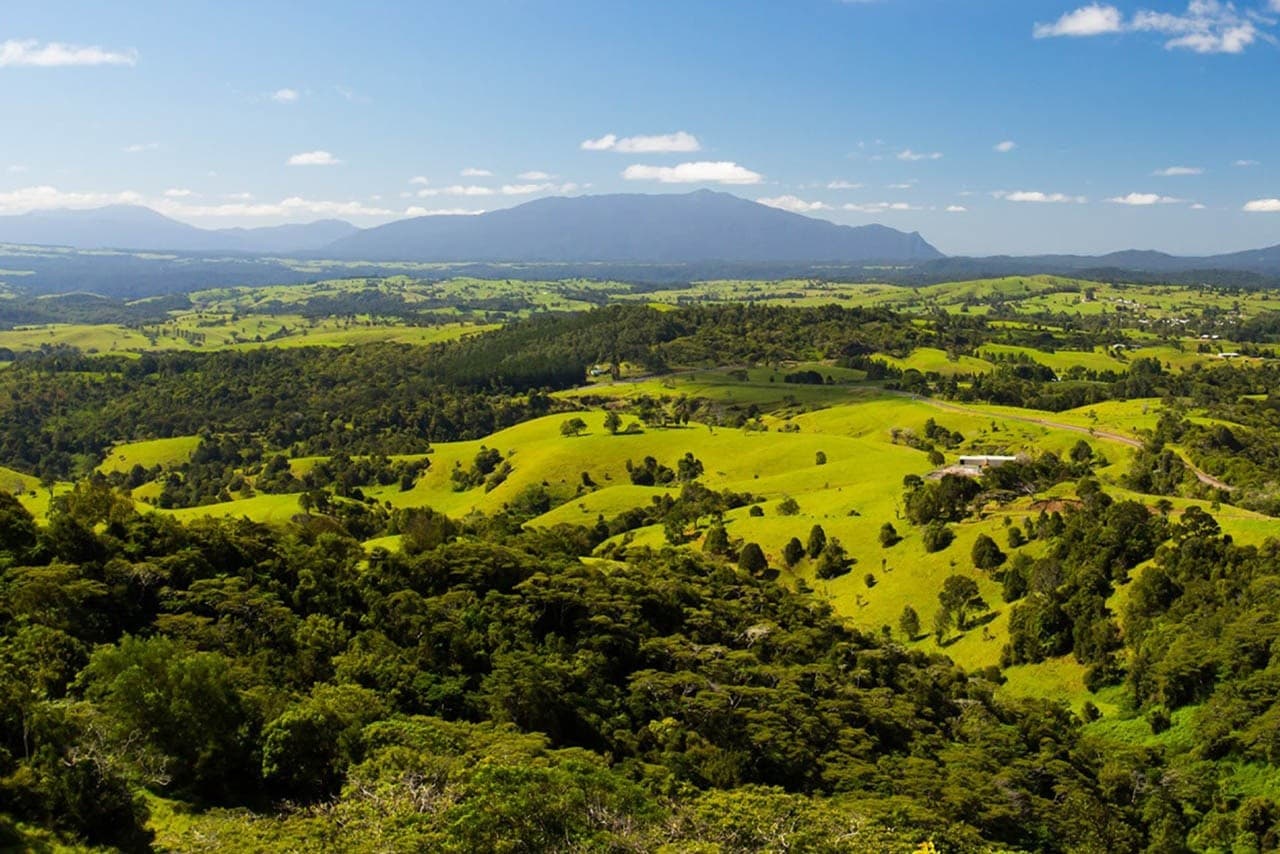 Helicopter Lunch Over the Atherton Tablelands: Skybury Coffee Scenic Flight from Cairns photo 2