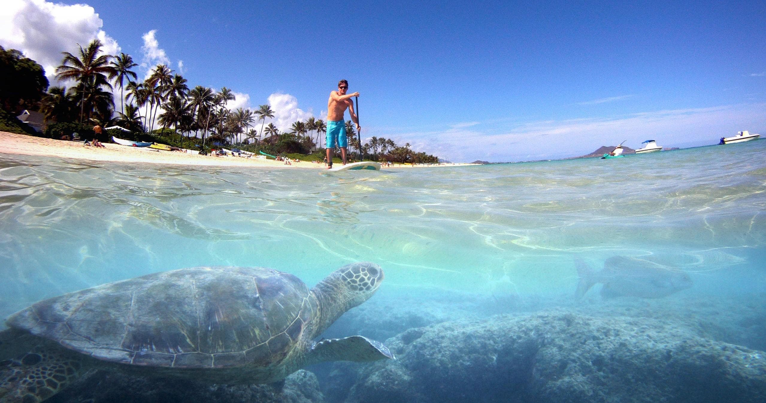 Self-Guided SUP Tour at Kailua Beach Adventures in Hawaii