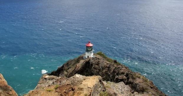 Kaimana Tours fleet