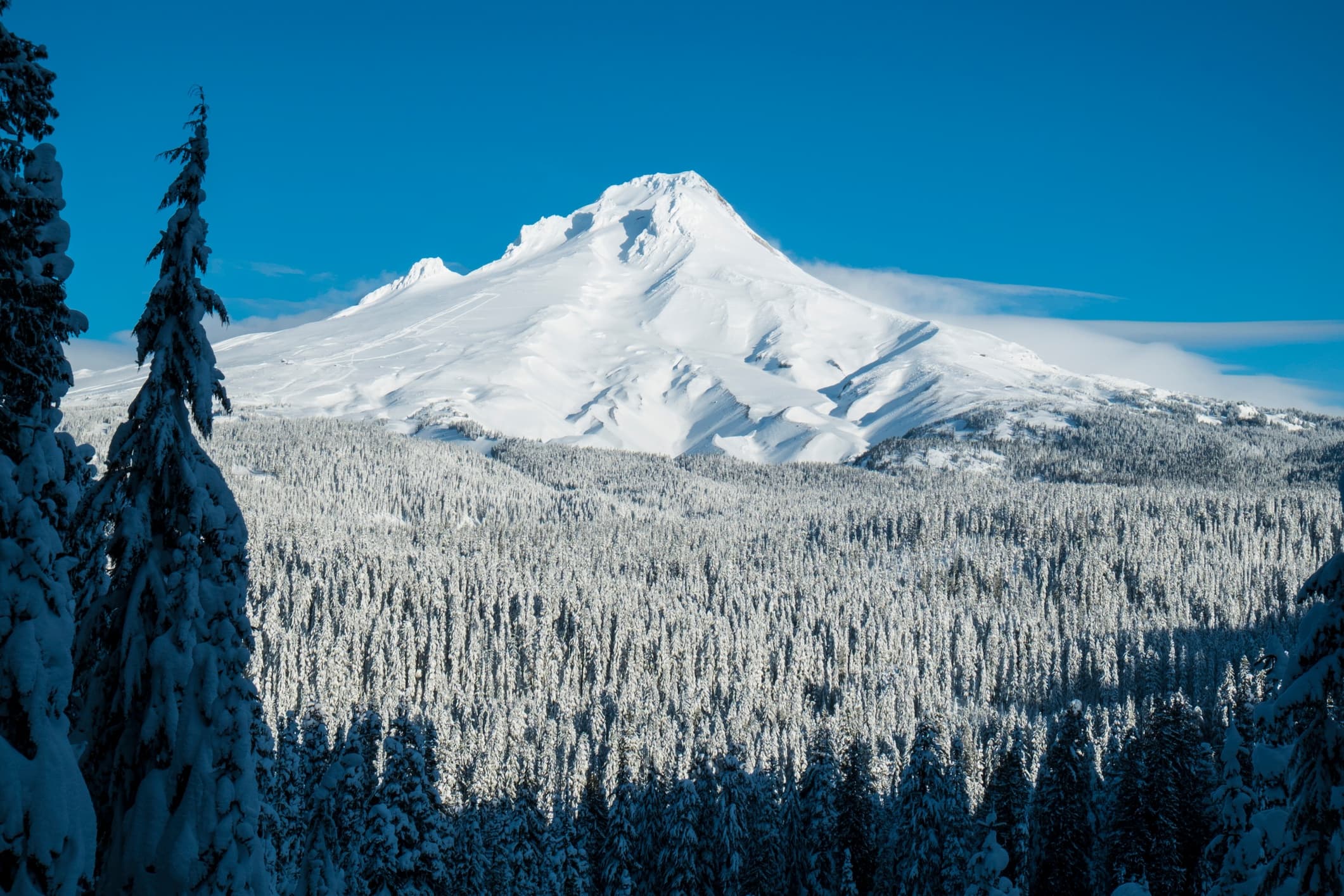 Snowshoe Mt. Hood: Beginner-Friendly Winter Day Trip from Portland photo 4
