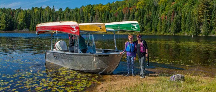 Wildlife Viewing on Hailstorm Creek with Algonquin Outfitters