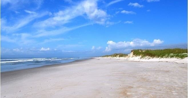 Isle of Hope Tours LLC team