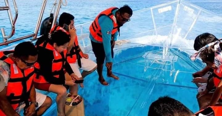 Explore Los Cabos’ Iconic Arch and Marine Life on a Unique Crystal Boat Tour