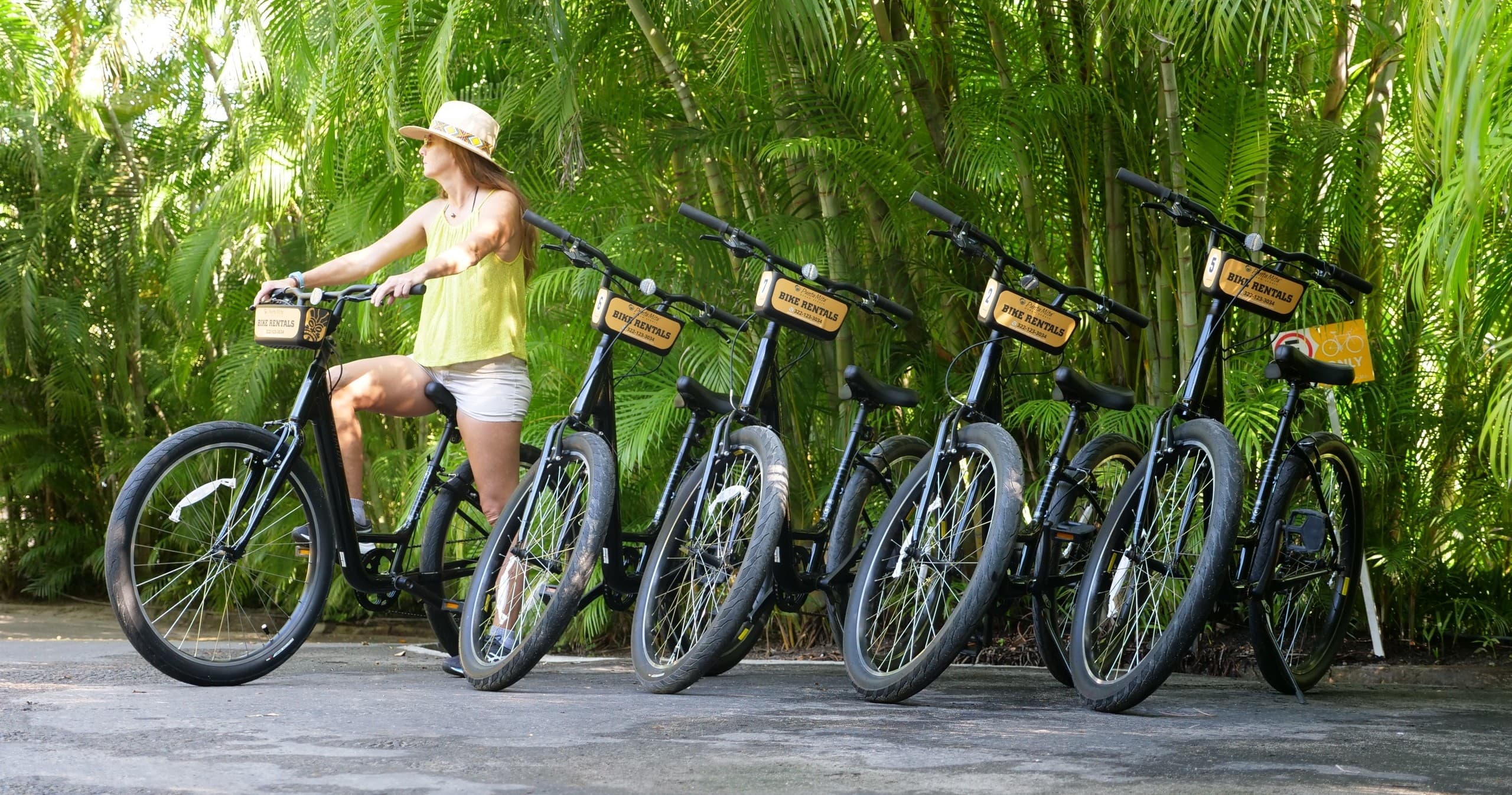 Land Adventures with Surf Mexico: Scenic Bike Rentals
