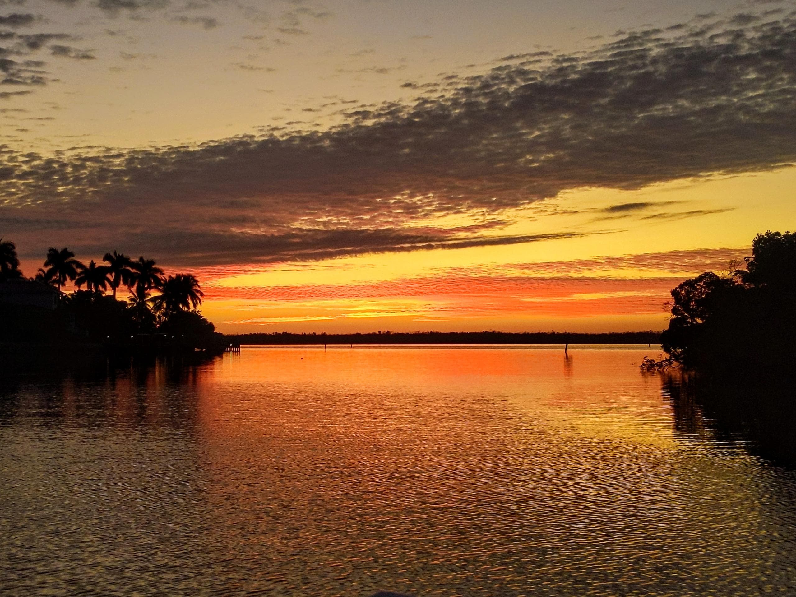 Two Hour Private Boat Tour on Marco Island, Florida