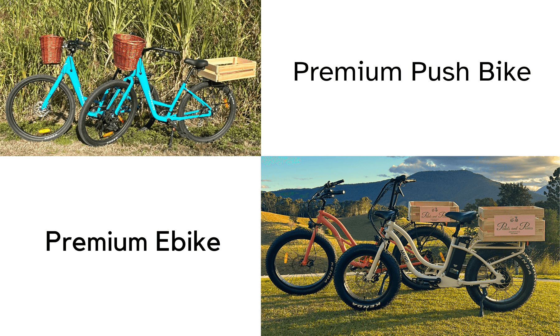 E-bikes and push bikes parked outdoors showcasing rental options