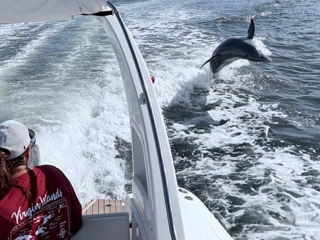 Orca Pro Marine fleet
