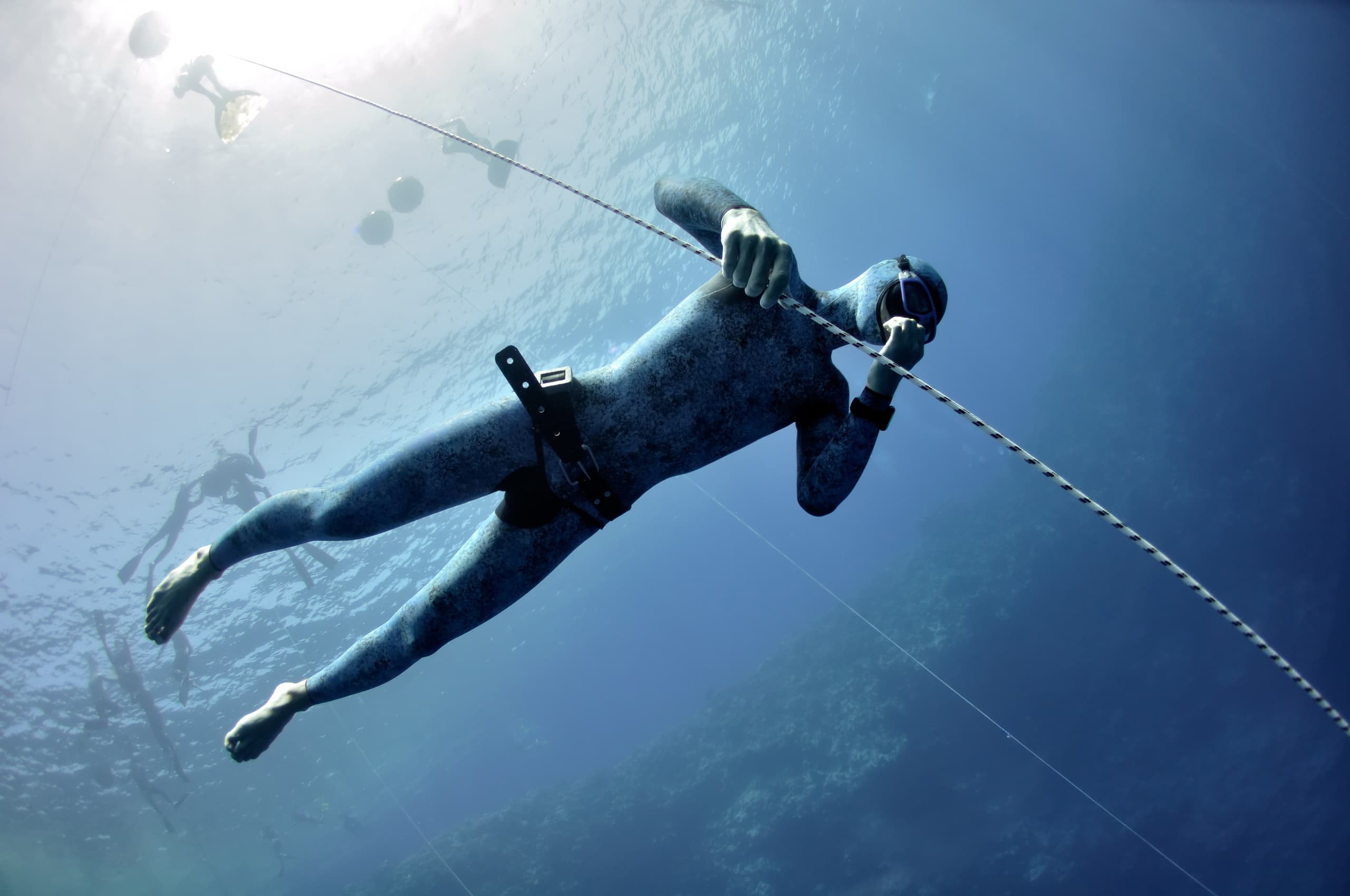 Private Freediver Experience in Monterey, CA