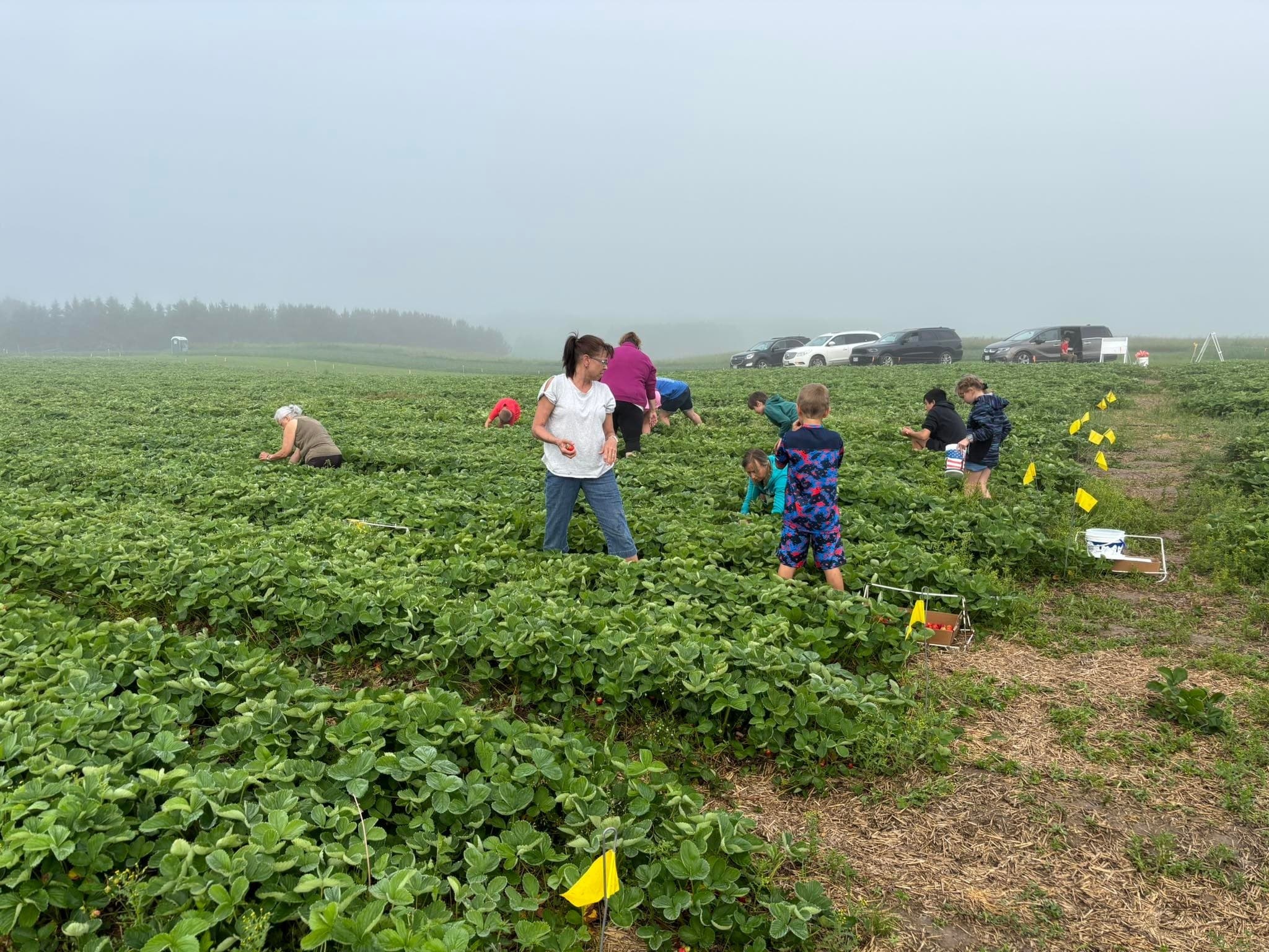 Hands-On Farm Field Trips near Merrill, Wisconsin — Pumpkin Harvests & Petting Zoo for Schools