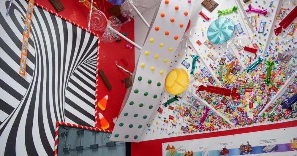Water Activities & Candy Tour in West Palm Beach