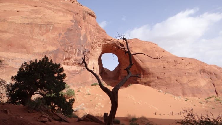 Natural sandstone arch with dead tree framing desert photography spot