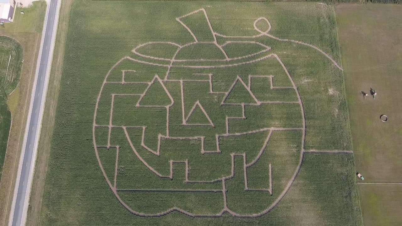 Aerial view of pumpkin-shaped corn maze on farm field during fall