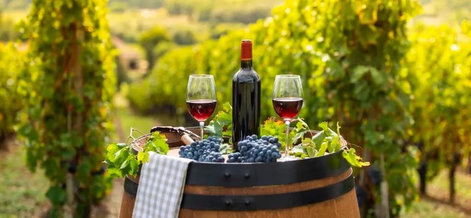 Luxury Land Adventures with Hills Luxury Day Tours