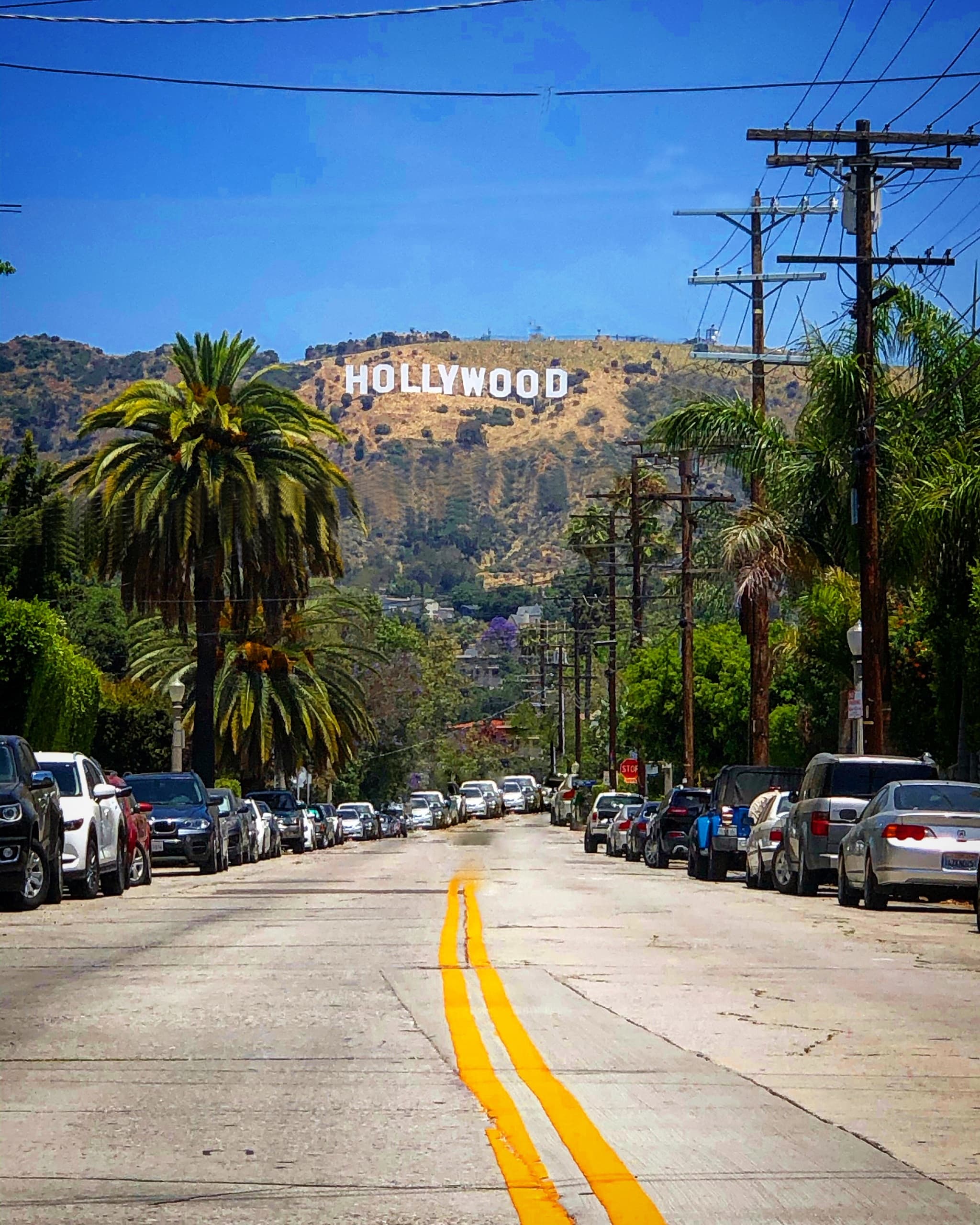Hollywood Hopper Tour by Surf City Tours in Santa Monica